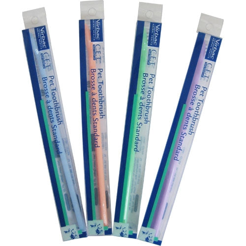 버박 미니 칫솔