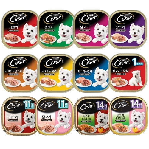 시저캔 100g