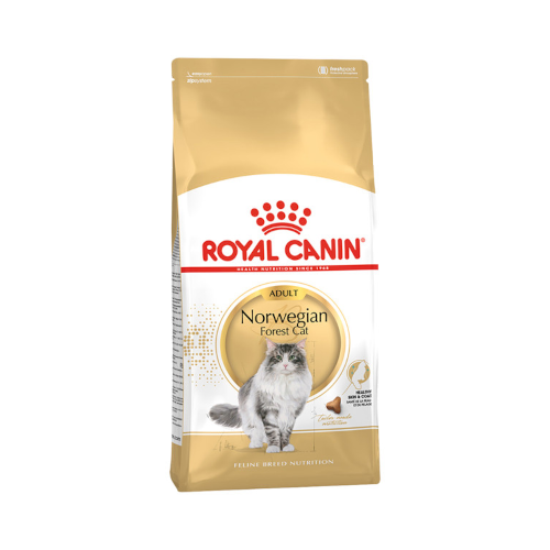 로얄캐닌 캣 노르웨이 숲 10kg