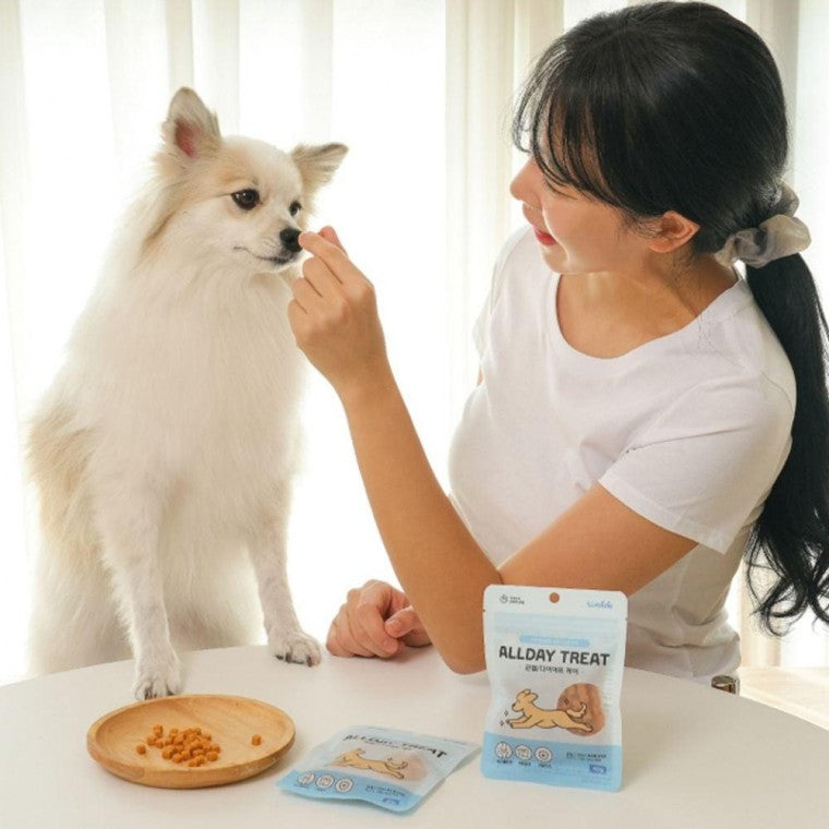 올데이 케어 트릿 저알러지 훈련용 영양 간식 40g